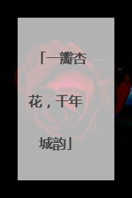 一瓣杏花，千年城韵