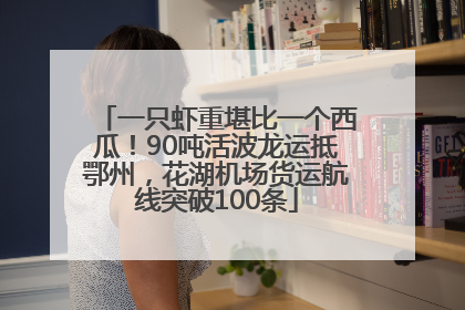 一只虾重堪比一个西瓜！90吨活波龙运抵鄂州，花湖机场货运航线突破100条
