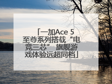 一加Ace 5至尊系列搭载“电竞三芯” 旗舰游戏体验远超同档