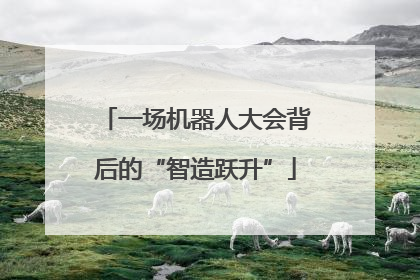 一场机器人大会背后的“智造跃升”