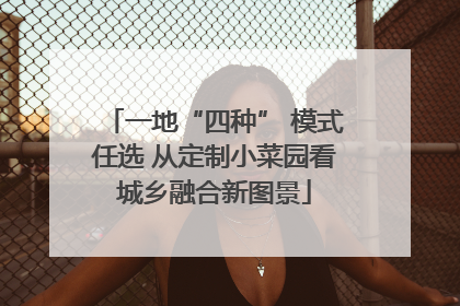 一地“四种” 模式任选 从定制小菜园看城乡融合新图景