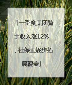 一季度美团骑手收入涨12%，社保正逐步拓展覆盖
