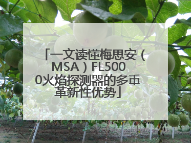 一文读懂梅思安（MSA）FL5000火焰探测器的多重革新性优势