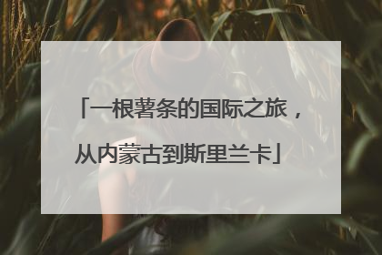 一根薯条的国际之旅，从内蒙古到斯里兰卡