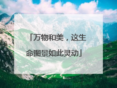 万物和美，这生命图景如此灵动