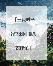 三夏时节 南京田间地头农作忙