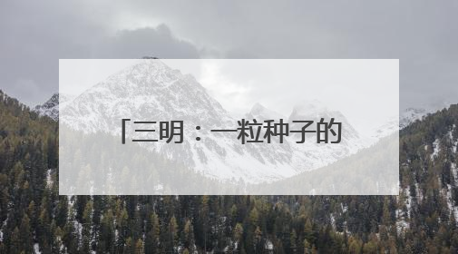 三明：一粒种子的“链式”崛起之路