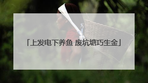 上发电下养鱼 废坑塘巧生金