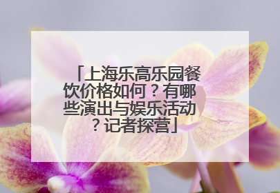 上海乐高乐园餐饮价格如何？有哪些演出与娱乐活动？记者探营