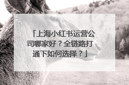 上海小红书运营公司哪家好？全链路打通下如何选择？