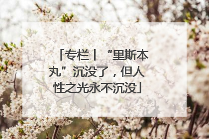 专栏丨“里斯本丸”沉没了，但人性之光永不沉没