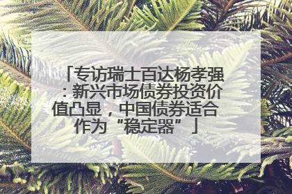 专访瑞士百达杨孝强：新兴市场债券投资价值凸显，中国债券适合作为“稳定器”