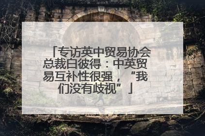 专访英中贸易协会总裁白彼得：中英贸易互补性很强，“我们没有歧视”