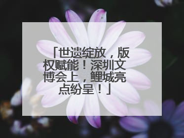 世遗绽放，版权赋能！深圳文博会上，鲤城亮点纷呈！
