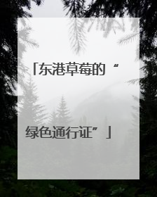 东港草莓的“绿色通行证”
