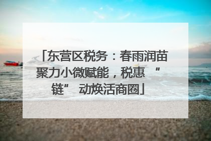 东营区税务：春雨润苗聚力小微赋能，税惠 “链” 动焕活商圈