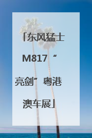 东风猛士M817“亮剑”粤港澳车展