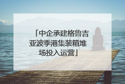 中企承建格鲁吉亚波季港集装箱堆场投入运营
