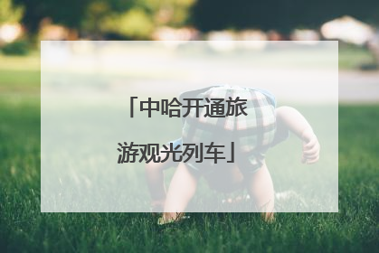 中哈开通旅游观光列车