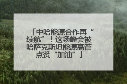 中哈能源合作再“续航”！这场峰会被哈萨克斯坦能源高管点赞“加油”