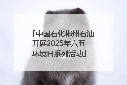 中国石化郴州石油开展2025年六五环境日系列活动