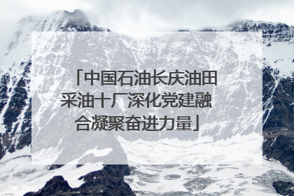 中国石油长庆油田采油十厂深化党建融合凝聚奋进力量