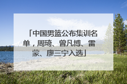 中国男篮公布集训名单，周琦、曾凡博、雷蒙、廖三宁入选