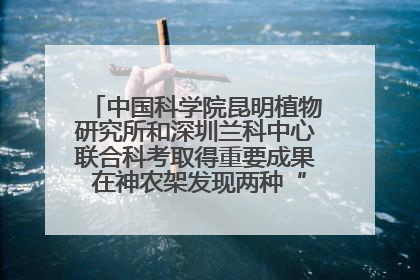 中国科学院昆明植物研究所和深圳兰科中心联合科考取得重要成果 在神农架发现两种“国保”级兰花