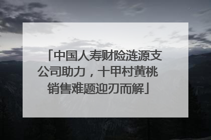 中国人寿财险涟源支公司助力，十甲村黄桃销售难题迎刃而解