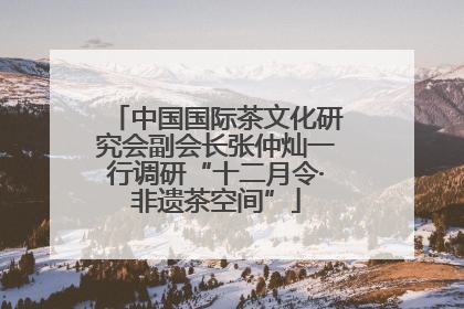 中国国际茶文化研究会副会长张仲灿一行调研“十二月令·非遗茶空间”
