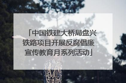 中国铁建大桥局盘兴铁路项目开展反腐倡廉宣传教育月系列活动