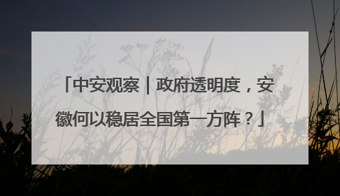 中安观察｜政府透明度，安徽何以稳居全国第一方阵？