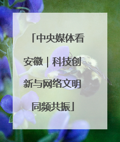 中央媒体看安徽｜科技创新与网络文明同频共振
