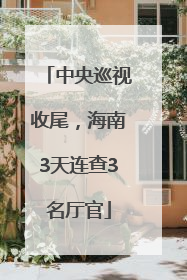 中央巡视收尾，海南3天连查3名厅官
