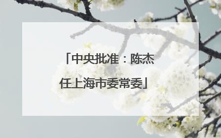 中央批准：陈杰任上海市委常委
