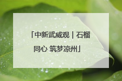 中新武威观｜石榴同心 筑梦凉州