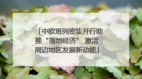 中欧班列密集开行助推“落地经济” 激活周边地区发展新动能