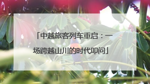 中越旅客列车重启：一场跨越山川的时代叩问
