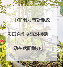 中非电力与新能源发展合作交流对接活动在岳阳举办