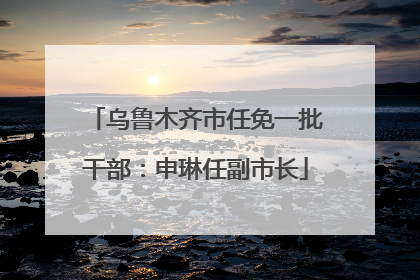 乌鲁木齐市任免一批干部：申琳任副市长