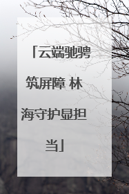 云端驰骋筑屏障 林海守护显担当