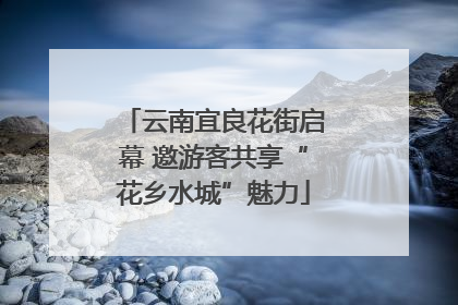 云南宜良花街启幕 邀游客共享“花乡水城”魅力