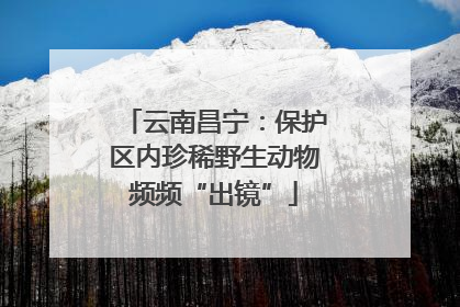 云南昌宁：保护区内珍稀野生动物频频“出镜”