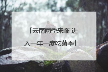 云南雨季来临 进入一年一度吃菌季