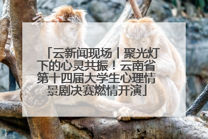 云新闻现场丨聚光灯下的心灵共振！云南省第十四届大学生心理情景剧决赛燃情开演