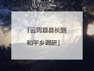 云霄县县长到和平乡调研