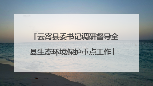 云霄县委书记调研督导全县生态环境保护重点工作