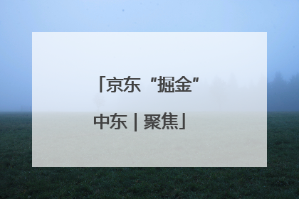 京东“掘金”中东｜聚焦