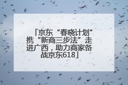 京东“春晓计划”携“新商三步法”走进广西，助力商家备战京东618