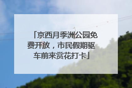 京西月季洲公园免费开放，市民假期驱车前来赏花打卡